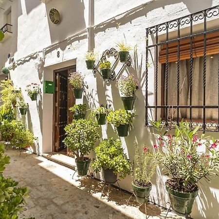 Casa Con Patio Y Terraza En Barrio Historico De La Villa, Junto Al Adarve プリエゴ・デ・コルドバ エクステリア 写真