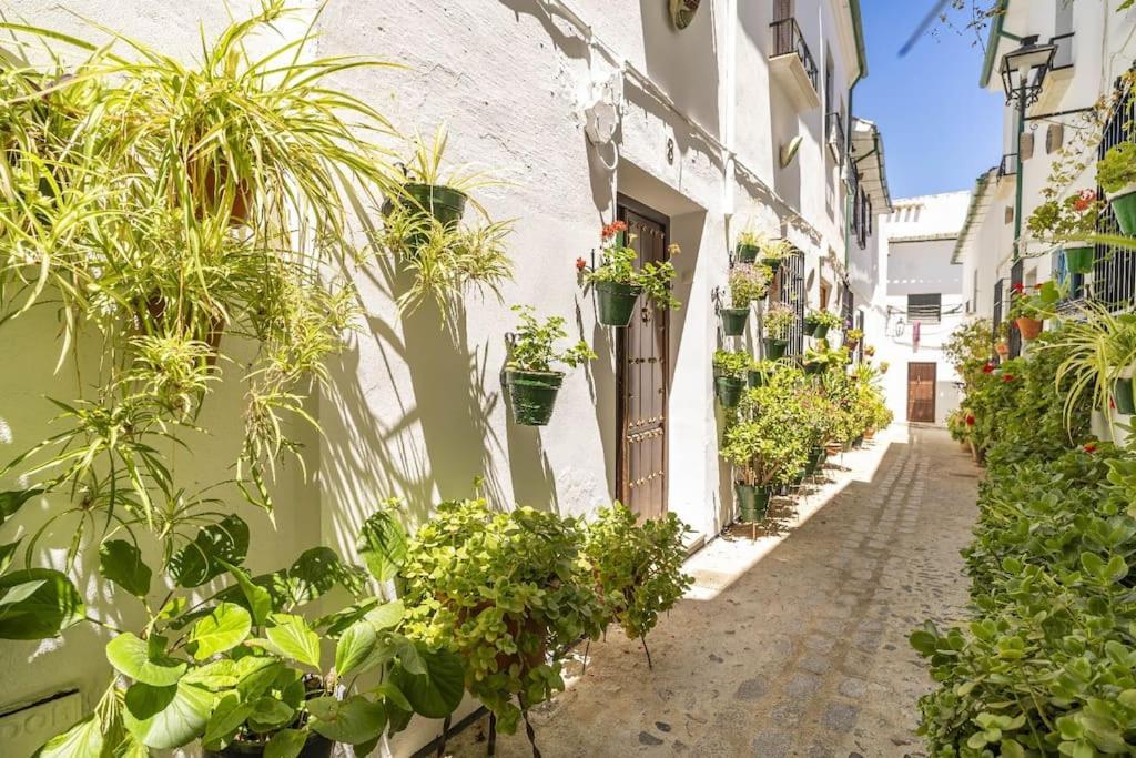 Casa Con Patio Y Terraza En Barrio Historico De La Villa, Junto Al Adarve プリエゴ・デ・コルドバ エクステリア 写真