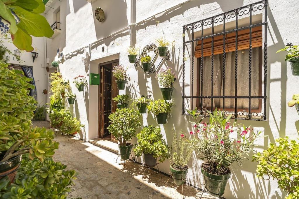 Casa Con Patio Y Terraza En Barrio Historico De La Villa, Junto Al Adarve プリエゴ・デ・コルドバ エクステリア 写真